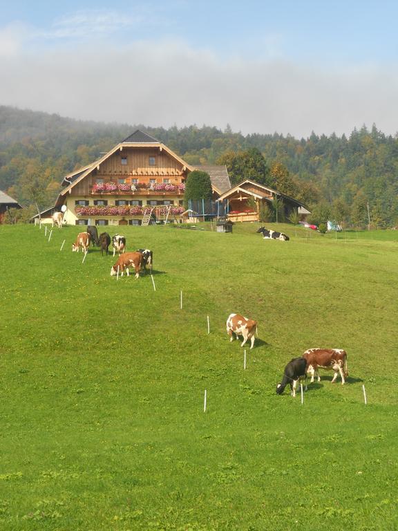 Paulbauer Villa Sankt Wolfgang im Salzkammergut Luaran gambar
